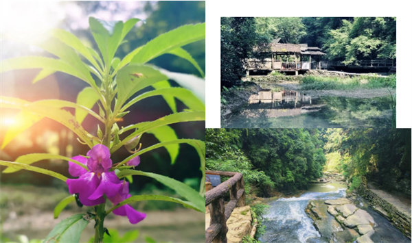 &ldquo;湘&rdquo;約鳳凰，相守未來(lái)&mdash;&mdash;2022博皓快樂(lè)湖南行    -34