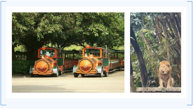 大手牽小手，快樂親子游！廣東博皓2023年親子游活動        -7