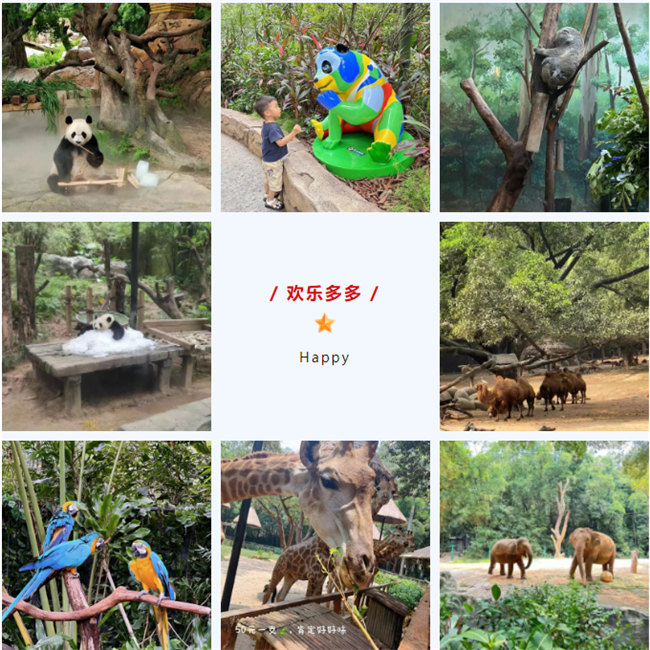 大手牽小手，快樂親子游！廣東博皓2023年親子游活動        -8