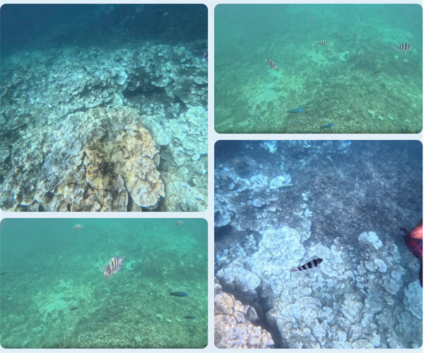 風(fēng)雨兼程二十載,馬來(lái)之旅續(xù)新篇——2024年博皓沙巴風(fēng)情之旅 -6