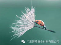 【博皓感悟】成功，要“借力”，不要“盡力”