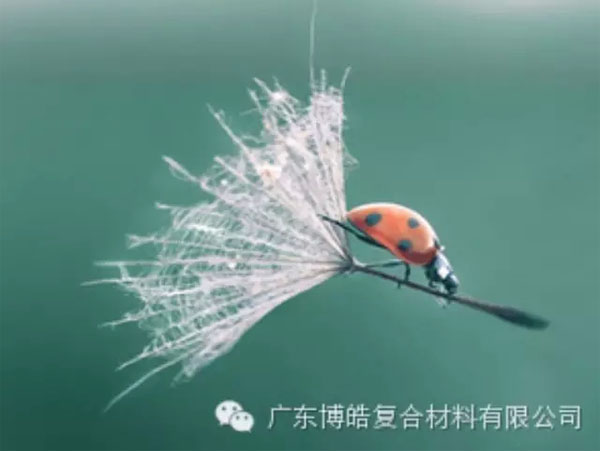 【博皓感悟】成功，要&ldquo;借力&rdquo;，不要&ldquo;盡力&rdquo;